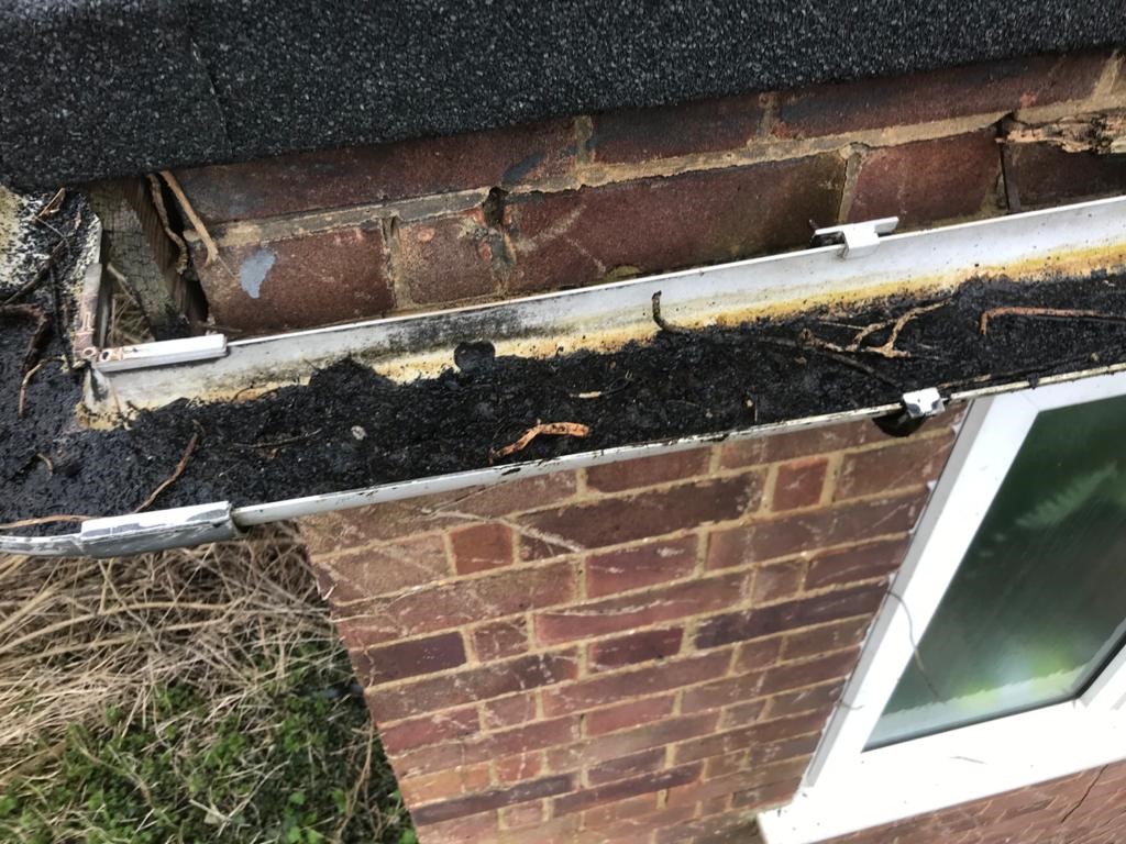 Gutter blocked with debris