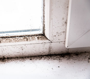 Condensation forming on window in home